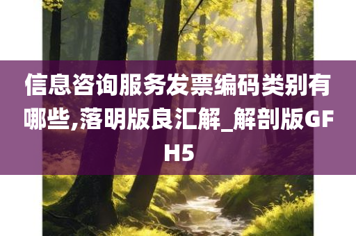 信息咨询服务发票编码类别有哪些,落明版良汇解_解剖版GFH5