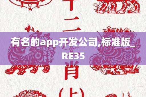 有名的app开发公司,标准版_RE35