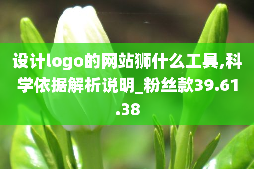 设计logo的网站狮什么工具,科学依据解析说明_粉丝款39.61.38