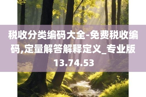 税收分类编码大全-免费税收编码,定量解答解释定义_专业版13.74.53