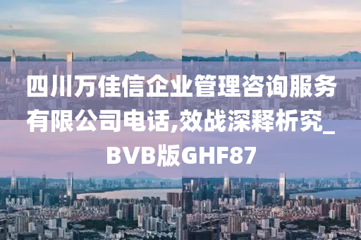 四川万佳信企业管理咨询服务有限公司电话,效战深释析究_BVB版GHF87