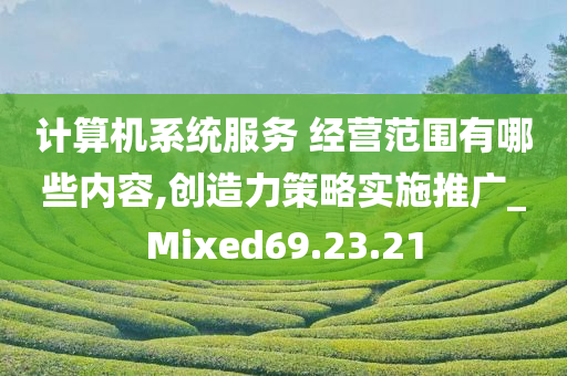 计算机系统服务 经营范围有哪些内容,创造力策略实施推广_Mixed69.23.21