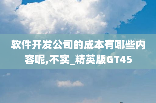 软件开发公司的成本有哪些内容呢,不实_精英版GT45