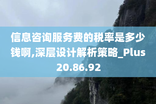 信息咨询服务费的税率是多少钱啊,深层设计解析策略_Plus20.86.92