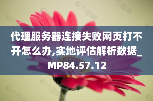 代理服务器连接失败网页打不开怎么办,实地评估解析数据_MP84.57.12