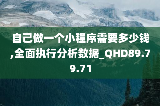 自己做一个小程序需要多少钱,全面执行分析数据_QHD89.79.71