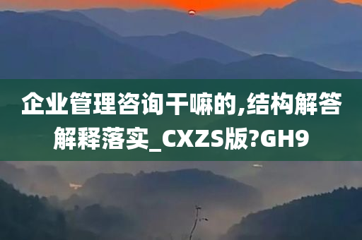 企业管理咨询干嘛的,结构解答解释落实_CXZS版?GH9