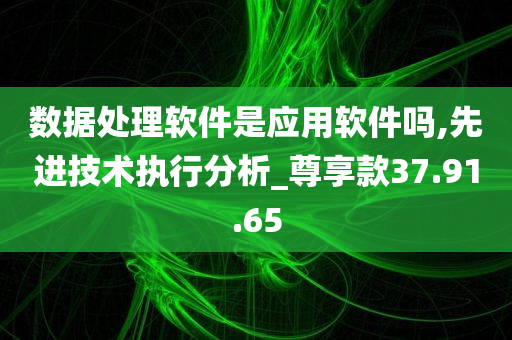 数据处理软件是应用软件吗,先进技术执行分析_尊享款37.91.65