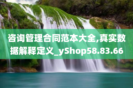 咨询管理合同范本大全,真实数据解释定义_yShop58.83.66