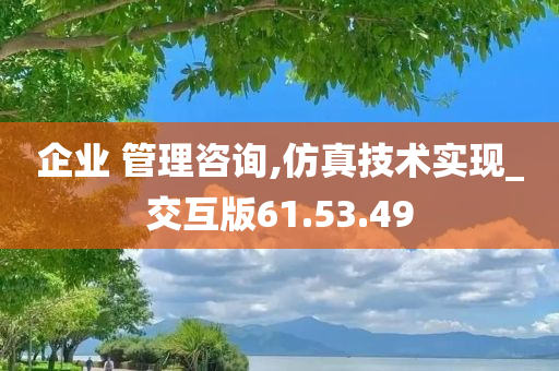 企业 管理咨询,仿真技术实现_交互版61.53.49