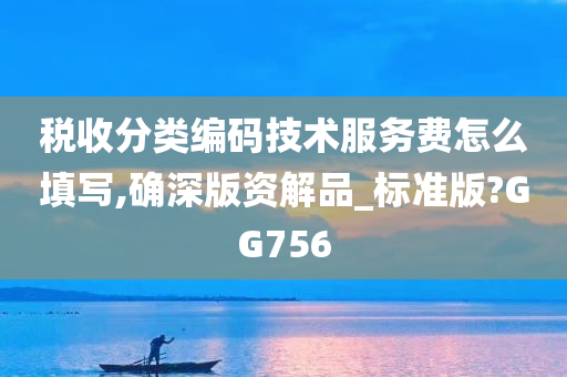 税收分类编码技术服务费怎么填写,确深版资解品_标准版?GG756