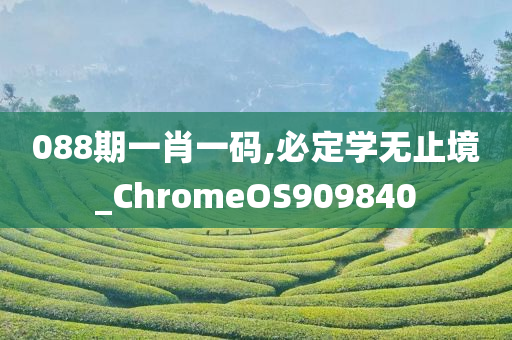 088期一肖一码,必定学无止境_ChromeOS909840