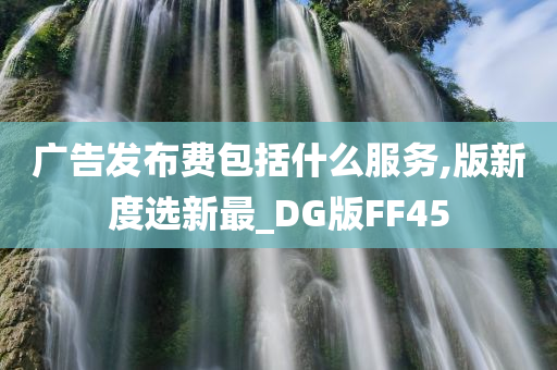 广告发布费包括什么服务,版新度选新最_DG版FF45