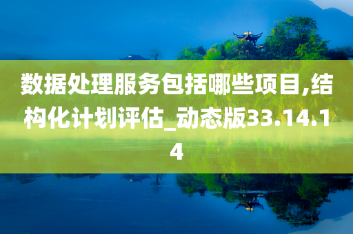 数据处理服务包括哪些项目,结构化计划评估_动态版33.14.14