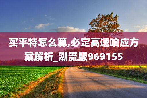 买平特怎么算,必定高速响应方案解析_潮流版969155