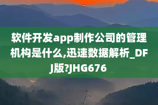 软件开发app制作公司的管理机构是什么,迅速数据解析_DFJ版?JHG676