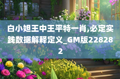 白小妲王中王平特一肖,必定实践数据解释定义_GM版228282