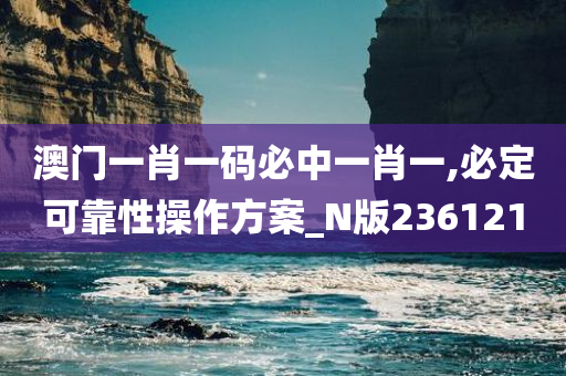 澳门一肖一码必中一肖一,必定可靠性操作方案_N版236121