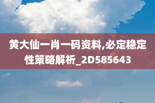 黄大仙一肖一码资料,必定稳定性策略解析_2D585643