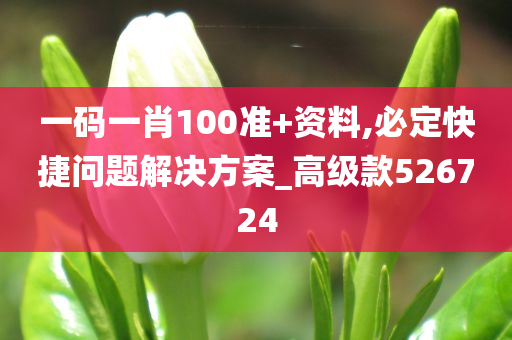 一码一肖100准+资料,必定快捷问题解决方案_高级款526724