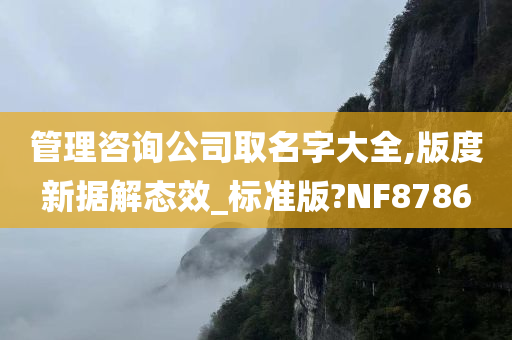 管理咨询公司取名字大全,版度新据解态效_标准版?NF8786