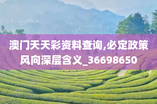 澳门天天彩资料查询,必定政策风向深层含义_36698650