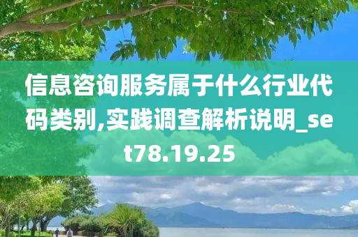 信息咨询服务属于什么行业代码类别,实践调查解析说明_set78.19.25