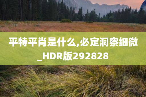 平特平肖是什么,必定洞察细微_HDR版292828