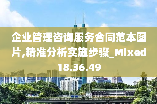 企业管理咨询服务合同范本图片,精准分析实施步骤_Mixed18.36.49