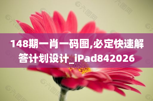 148期一肖一码图,必定快速解答计划设计_iPad842026