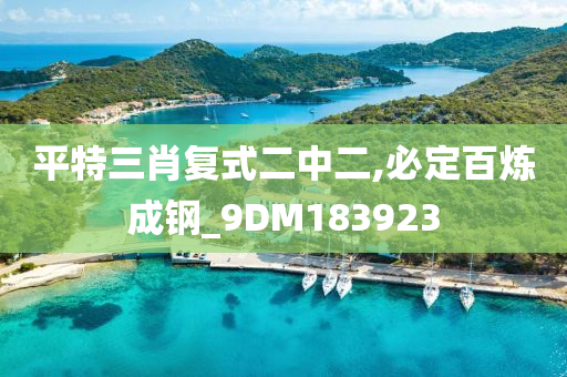 平特三肖复式二中二,必定百炼成钢_9DM183923