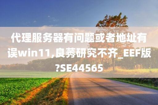 代理服务器有问题或者地址有误win11,良莠研究不齐_EEF版?SE44565