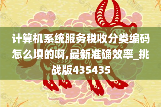 计算机系统服务税收分类编码怎么填的啊,最新准确效率_挑战版435435