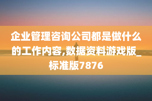 企业管理咨询公司都是做什么的工作内容,数据资料游戏版_标准版7876