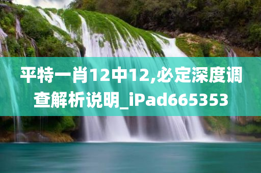 平特一肖12中12,必定深度调查解析说明_iPad665353