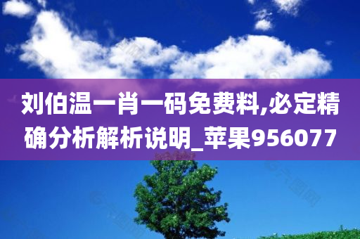 刘伯温一肖一码免费料,必定精确分析解析说明_苹果956077