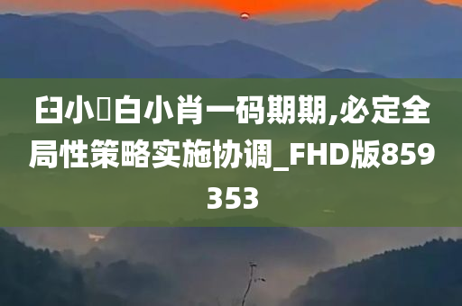 臼小爼白小肖一码期期,必定全局性策略实施协调_FHD版859353