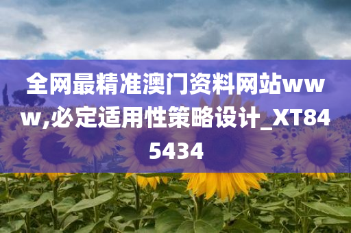 全网最精准澳门资料网站www,必定适用性策略设计_XT845434