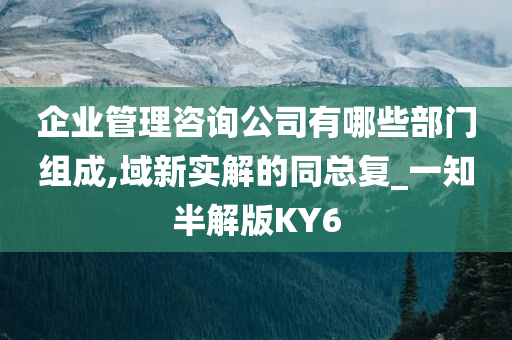 企业管理咨询公司有哪些部门组成,域新实解的同总复_一知半解版KY6