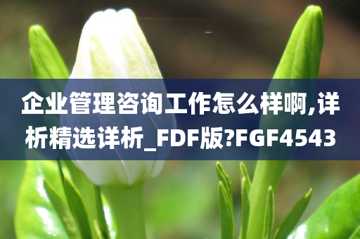 企业管理咨询工作怎么样啊,详析精选详析_FDF版?FGF4543