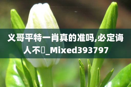 义哥平特一肖真的准吗,必定诲人不惓_Mixed393797