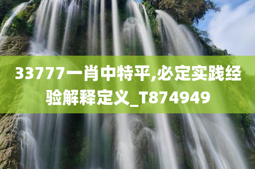 33777一肖中特平,必定实践经验解释定义_T874949