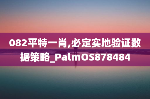 082平特一肖,必定实地验证数据策略_PalmOS878484