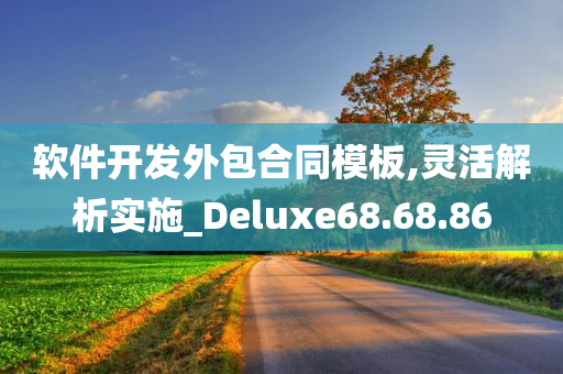 软件开发外包合同模板,灵活解析实施_Deluxe68.68.86