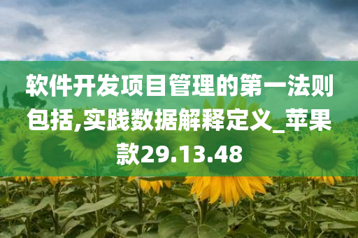 软件开发项目管理的第一法则包括,实践数据解释定义_苹果款29.13.48