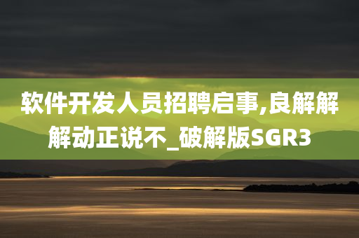 软件开发人员招聘启事,良解解解动正说不_破解版SGR3