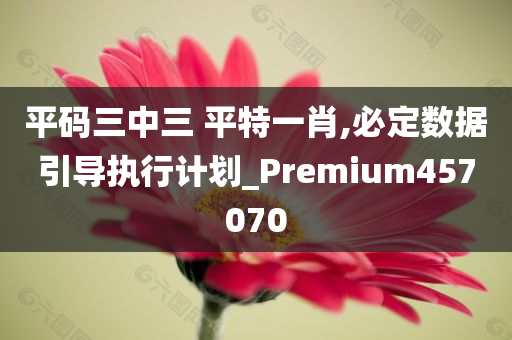 平码三中三 平特一肖,必定数据引导执行计划_Premium457070