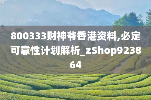 800333财神爷香港资料,必定可靠性计划解析_zShop923864