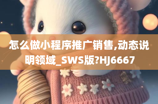 怎么做小程序推广销售,动态说明领域_SWS版?HJ6667