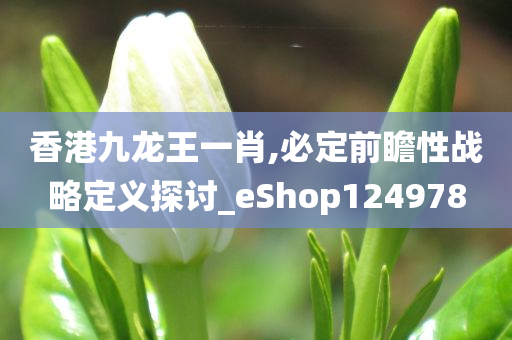 香港九龙王一肖,必定前瞻性战略定义探讨_eShop124978